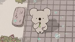 Koala's Diary