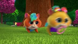 Super Kitties